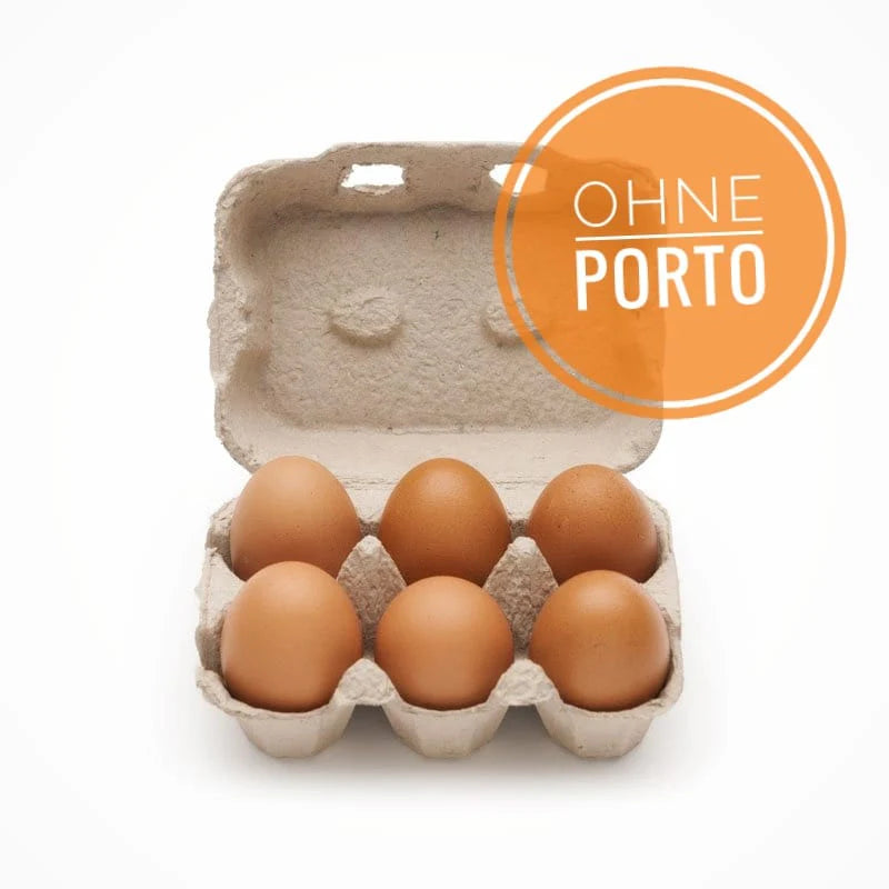 Boîtes à œufs 6 pièces pour œufs de poule 4672 pièces gris