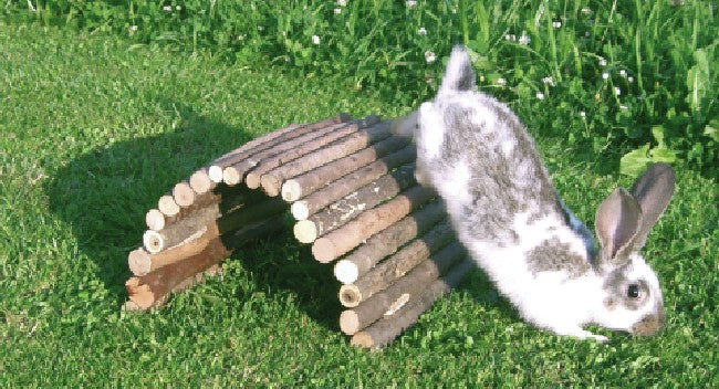 pont en bois