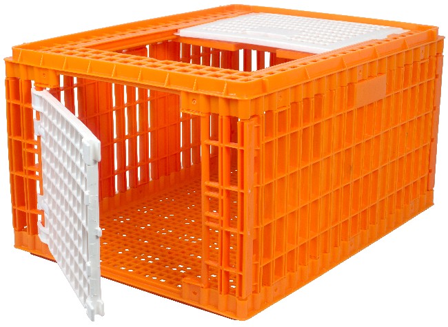 Caisse de transport pour volaille HAUTE orange 77x58x42cm