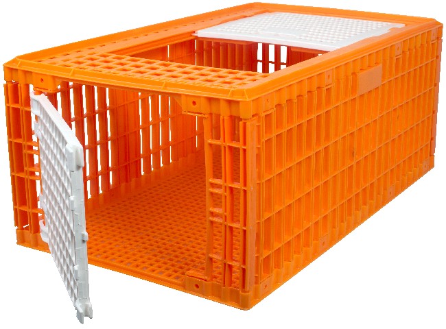Caisse de transport pour volaille HAUTE orange 97x58x42cm