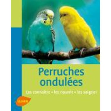 Perruches ondulées