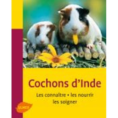 Cochons d'Inde, les connaître - les nourrir - les soigner