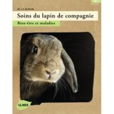 Soins du lapin de compagnie