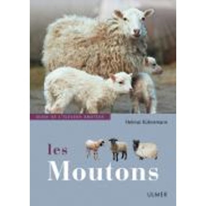 Moutons