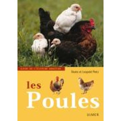 Poulets