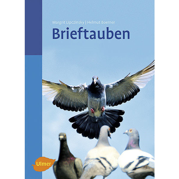 Brieftauben