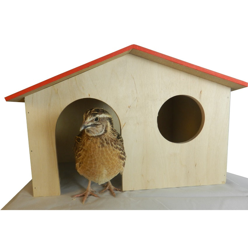 Maison pour cailles et rongeurs