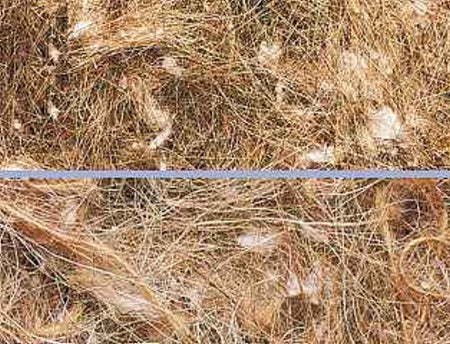 Matériel de nidification « Animal Végétal » 100 g