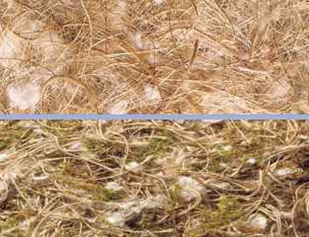 Noix de coco-sisal-jute-coton 500 g
