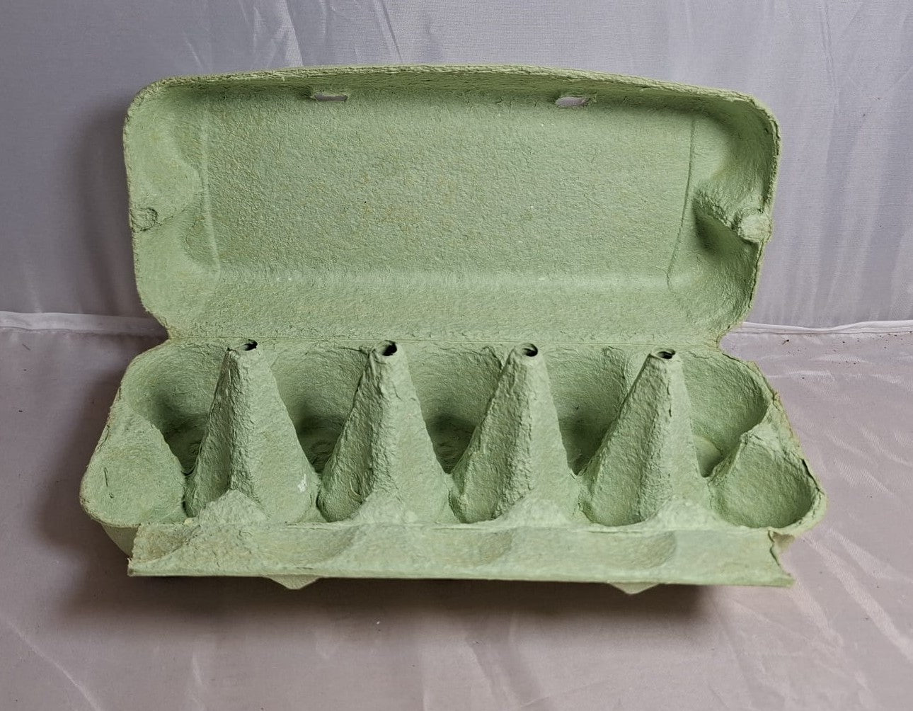 ComPac Boîtes à œufs pour 10 œufs 376 pièces vertes