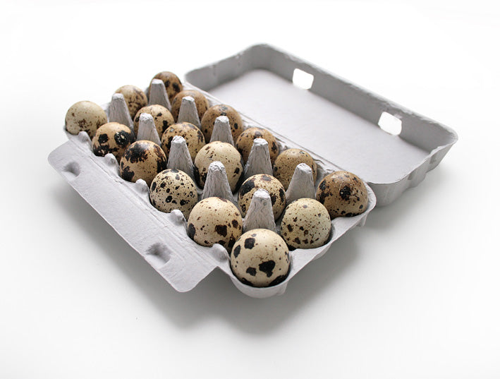 Boîtes d'œufs de caille 18