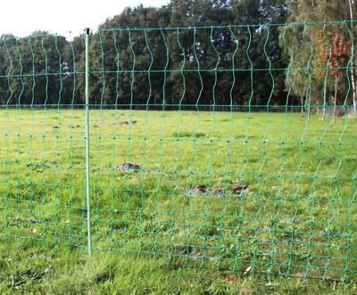 Filet Euro-Volaille 112/2 50 m vert