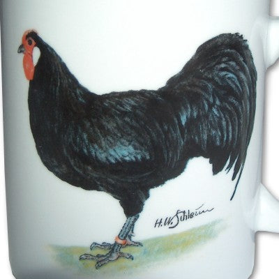 Geflügelmotive O - Z