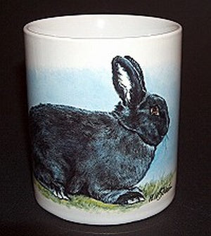 Motifs de lapin A - G