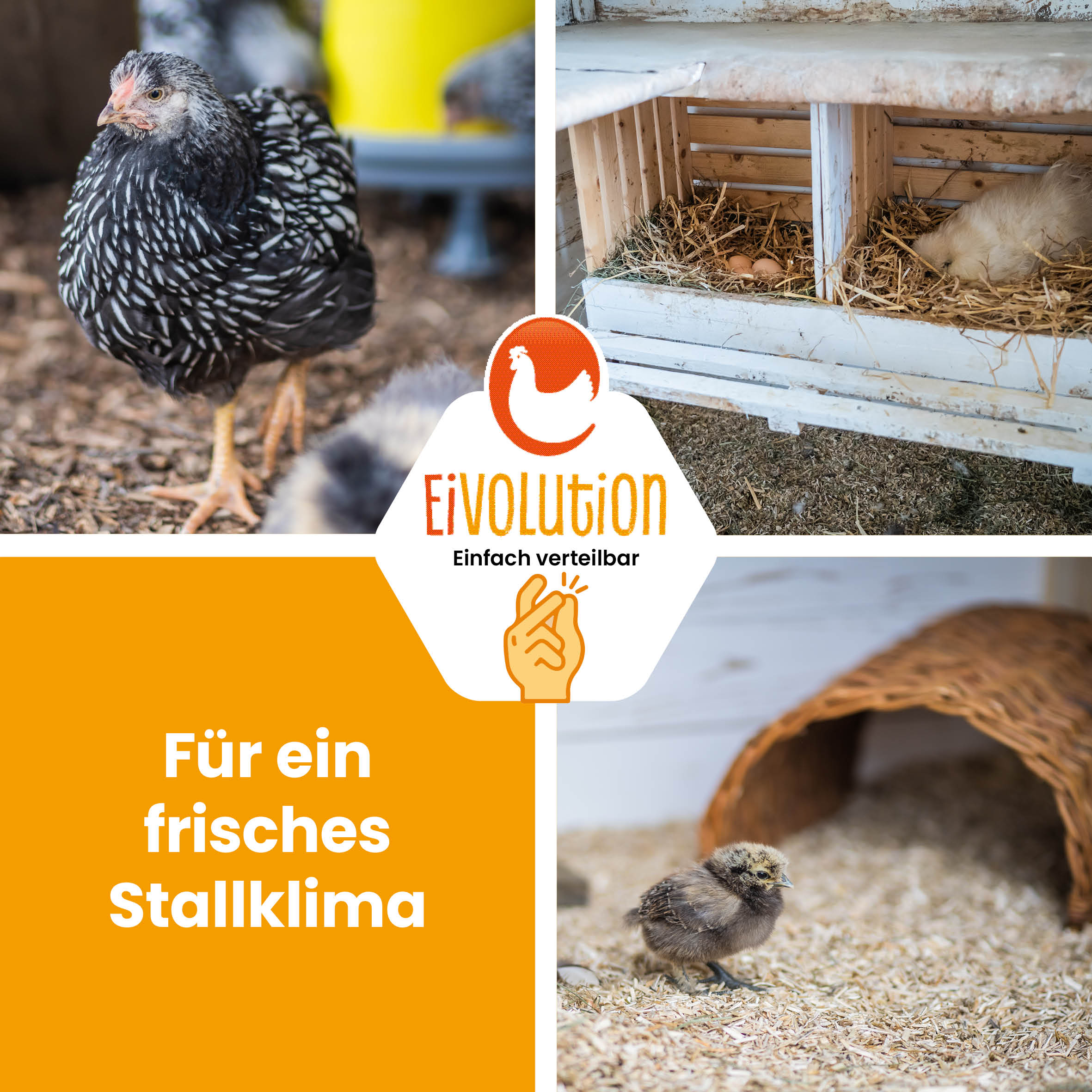 Hanfeinstreu Eukalyptus für ein gutes Stallklima