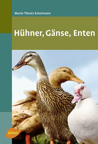 Poulets, oies, canards