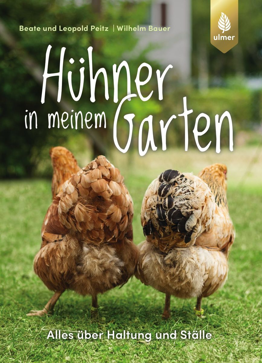Des poules dans mon jardin