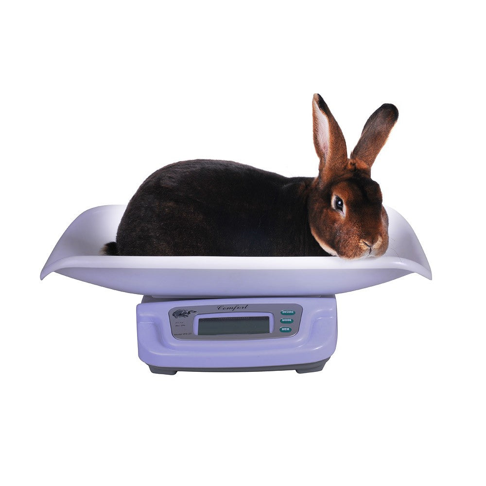 Balance numérique pour lapin jusqu'à 20 kilos