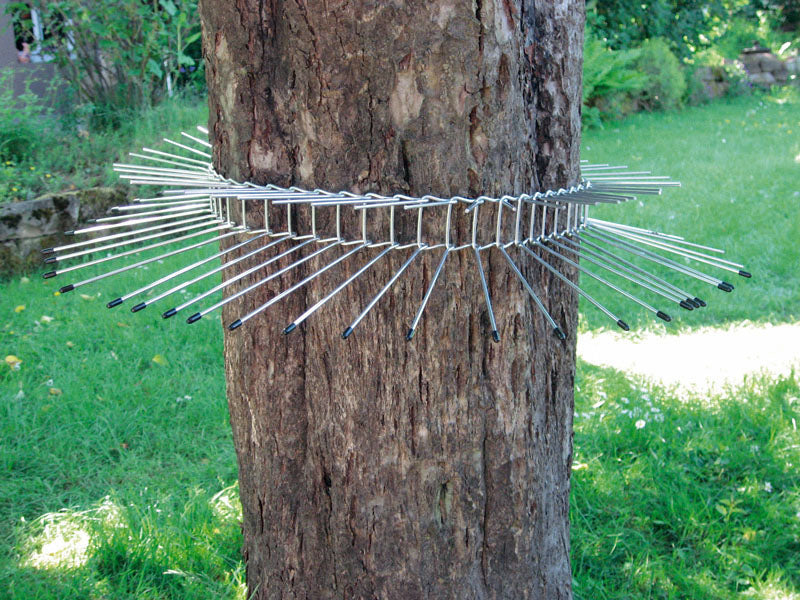 Katzenabwehrguertel für Bäume bis 70 cm Umfang