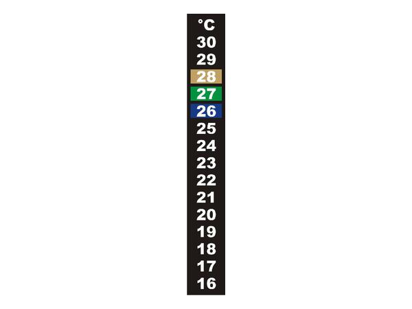 LCD Thermometer