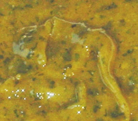 Marinade Bärlauch
