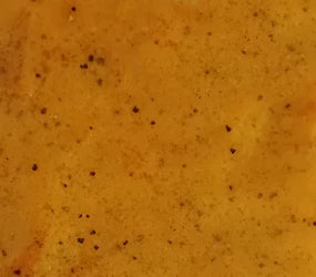 Marinade Bali mit Meersalz