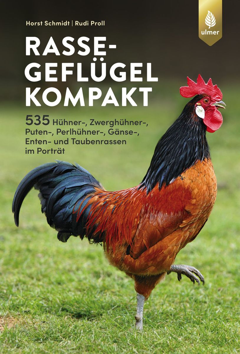 Compact Volaille