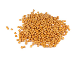 Graines de moutarde jaune 200g