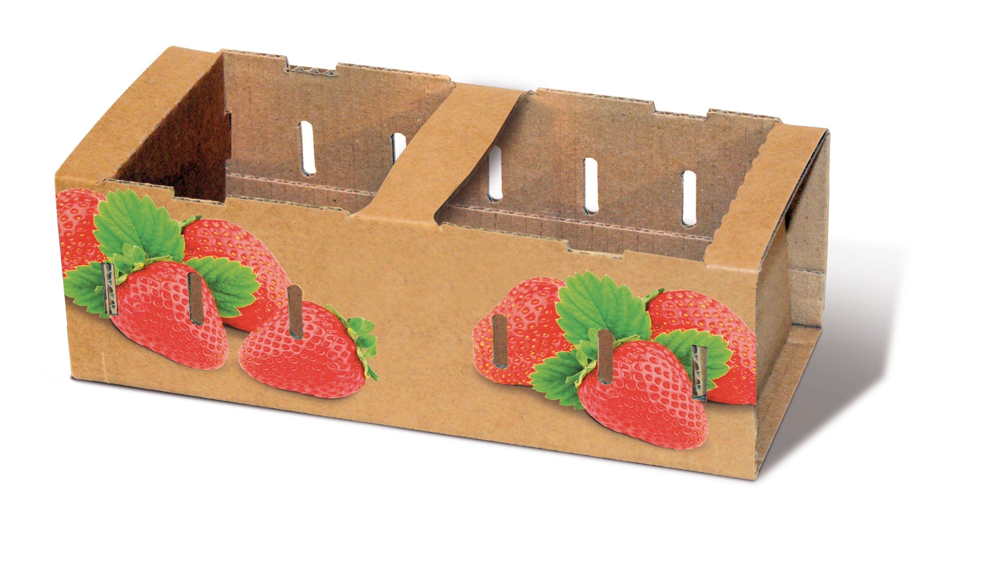 SoFruPak 1 Corbeille de fruits
