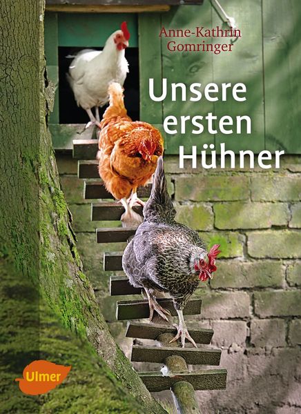 Unsere ersten Hühner