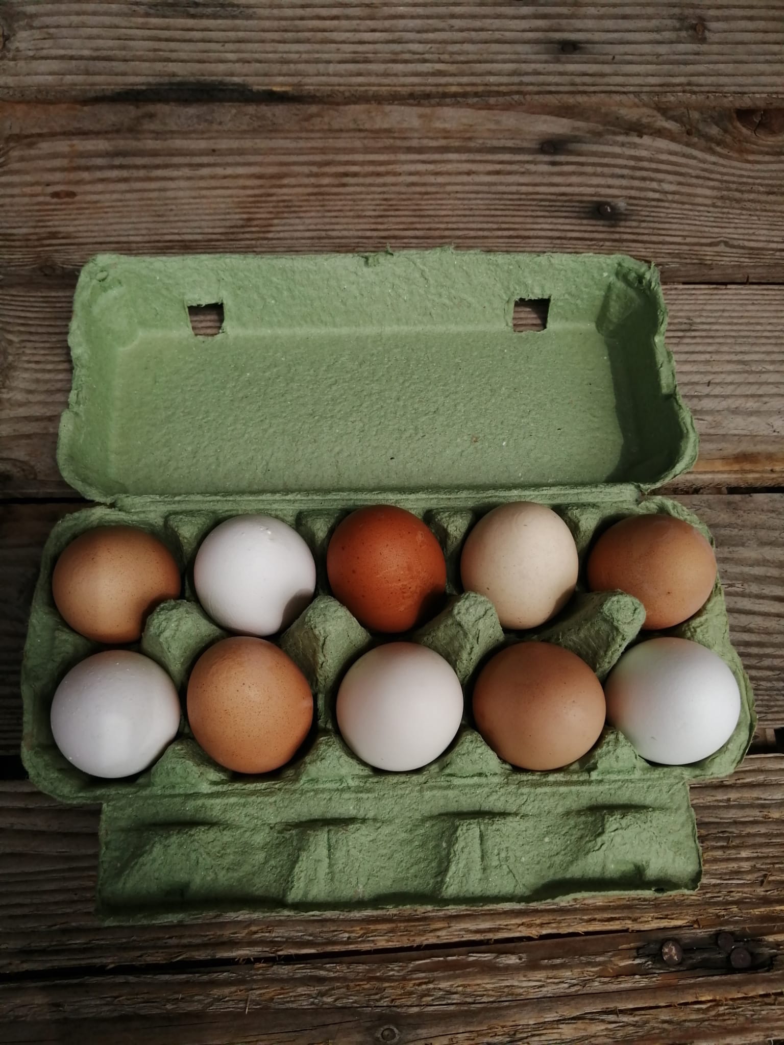 10er Eierschachteln Hühnereier Kleinpackung