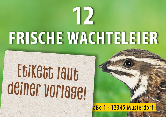 12er Wachtel-Eierschachtel-Etiketten laut deiner Druckvorlage