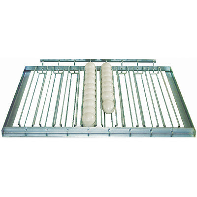 Plateau tournant pour incubateurs motorisés