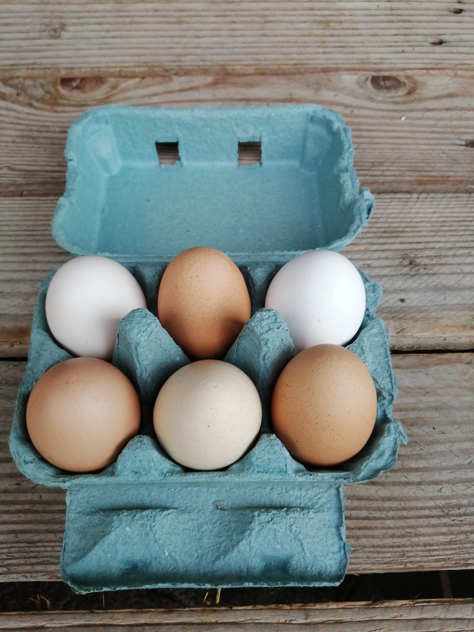 6er Eierschachteln Hühnereier Kleinpackung