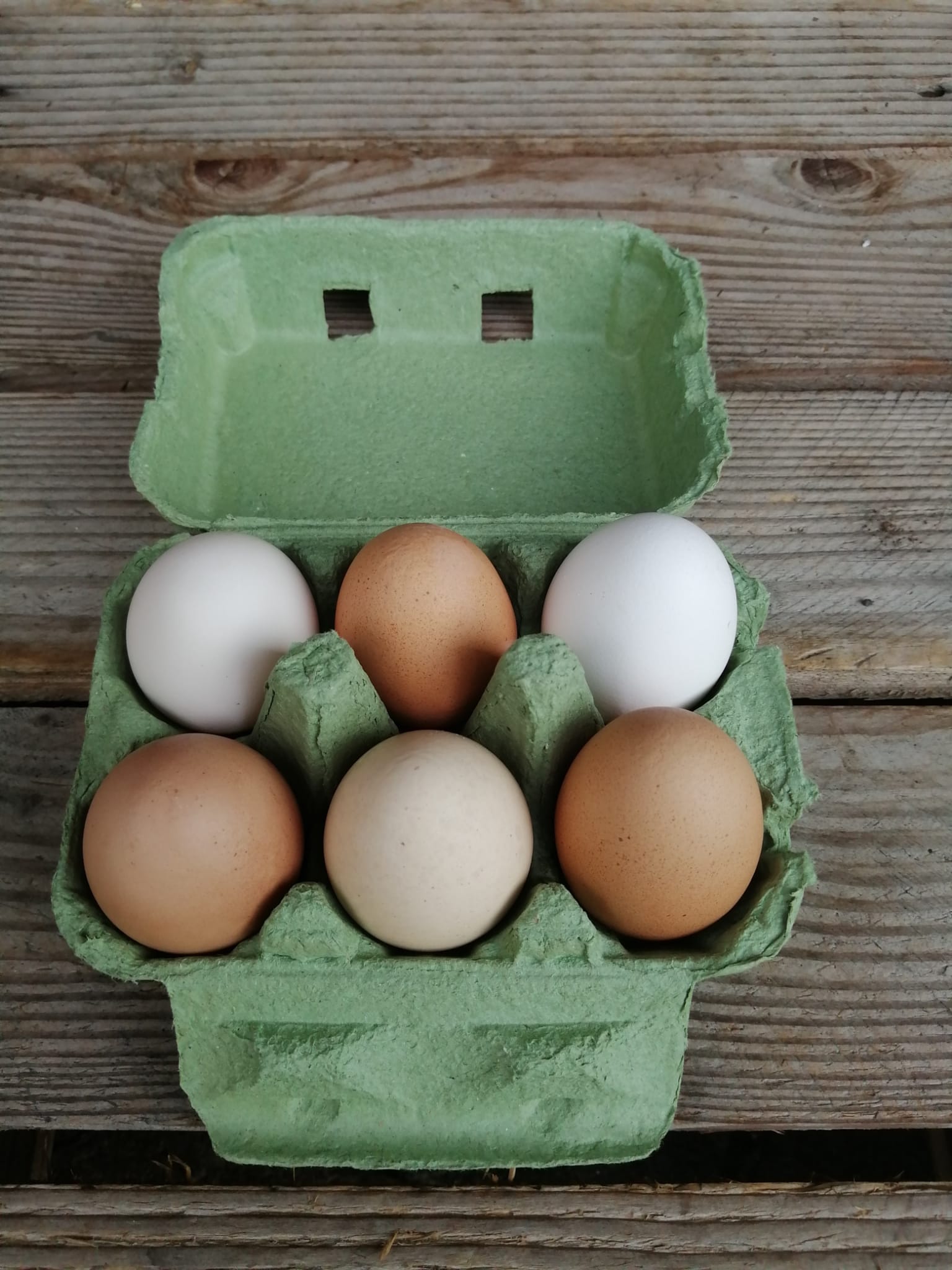 6er Eierschachteln Hühnereier Kleinpackung