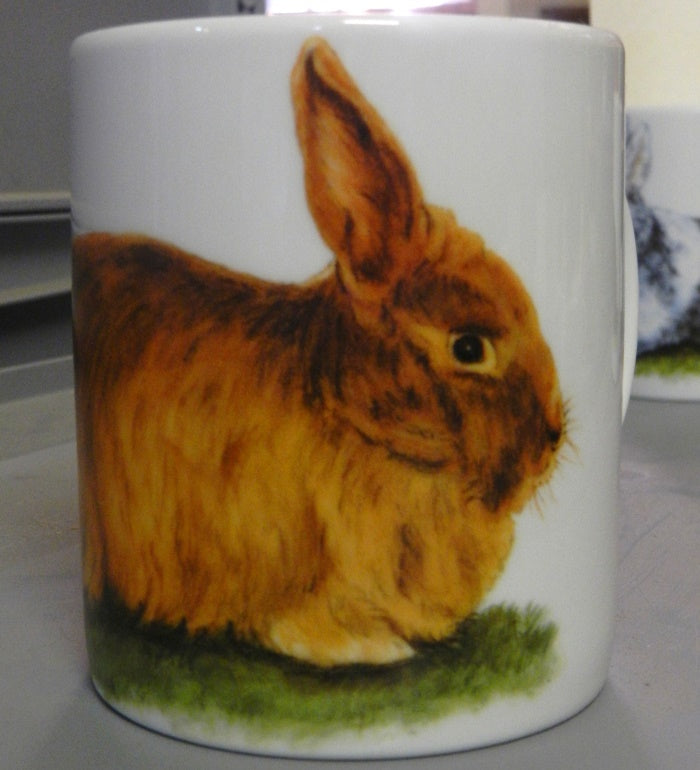 Kaninchenmotive A - G