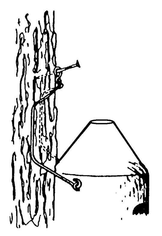 Fledermaushöhle 2F (universell)