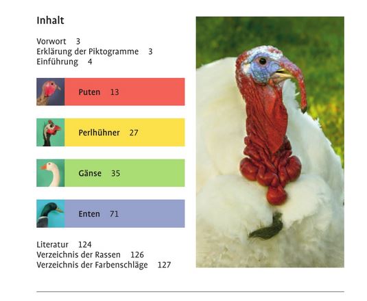 Atlas de poche des grands oiseaux et des oiseaux aquatiques
