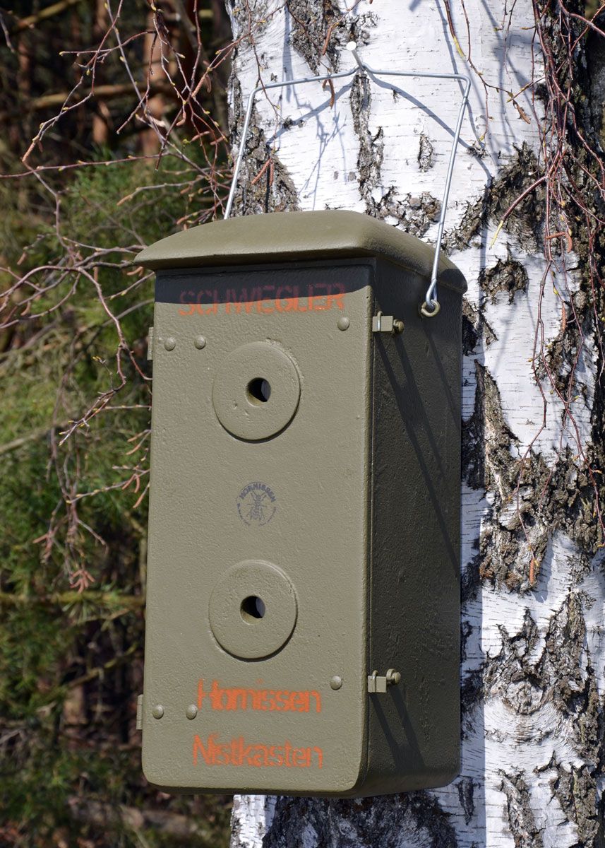 Hornissenkasten Holzbeton