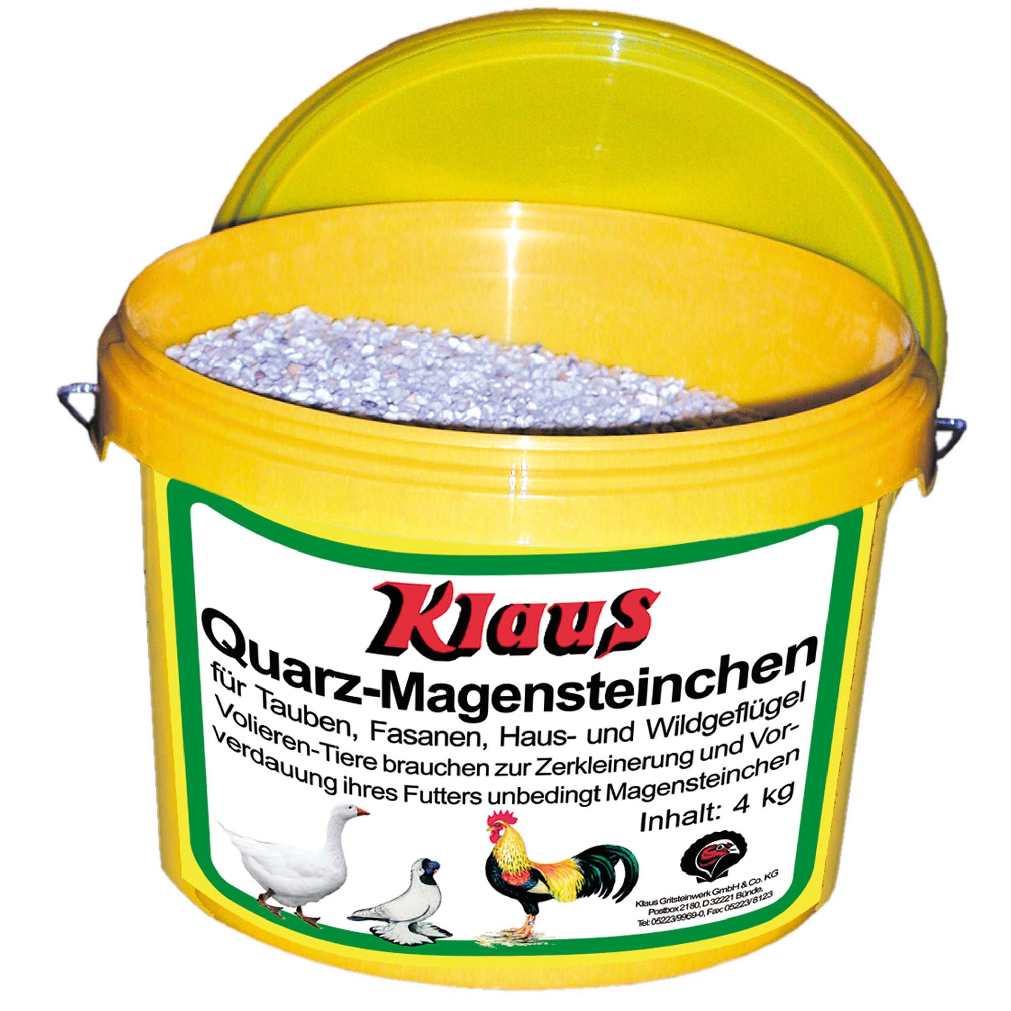 Magensteinchen (Quarz)