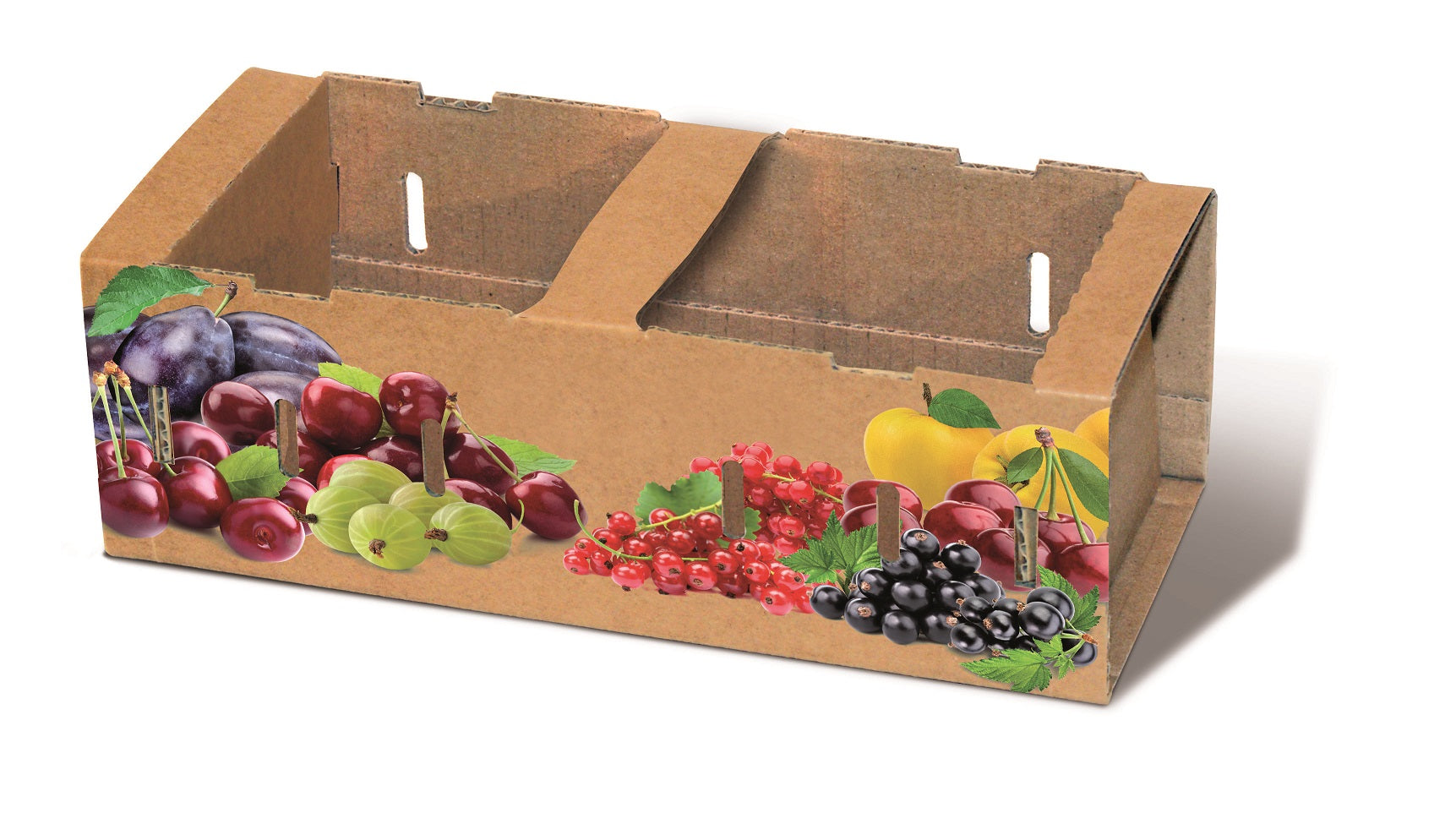 SoFruPak 1 Corbeille de fruits