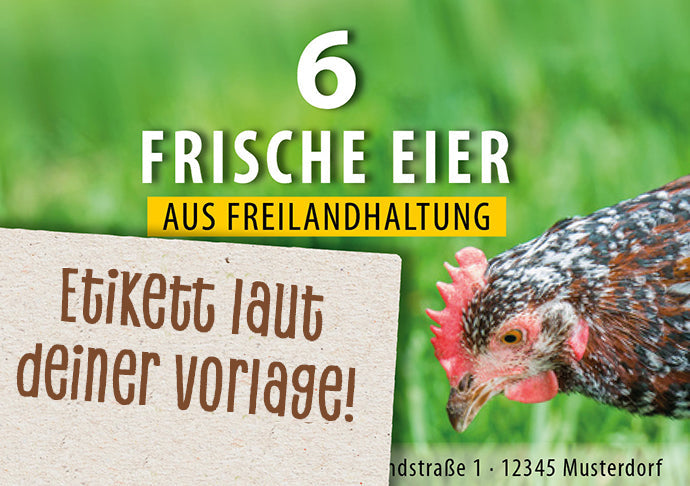 6er Eierschachtel-Etiketten laut deiner Druckvorlage