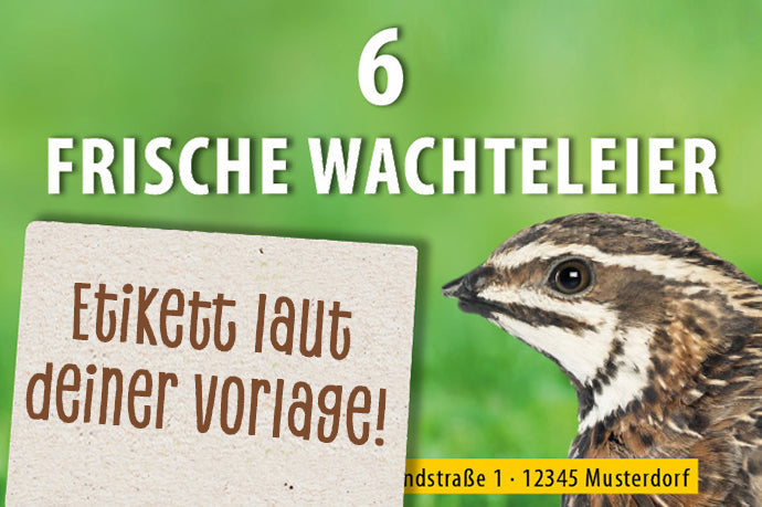 6er Wachtel-Eierschachtel-Etiketten laut deiner Druckvorlage