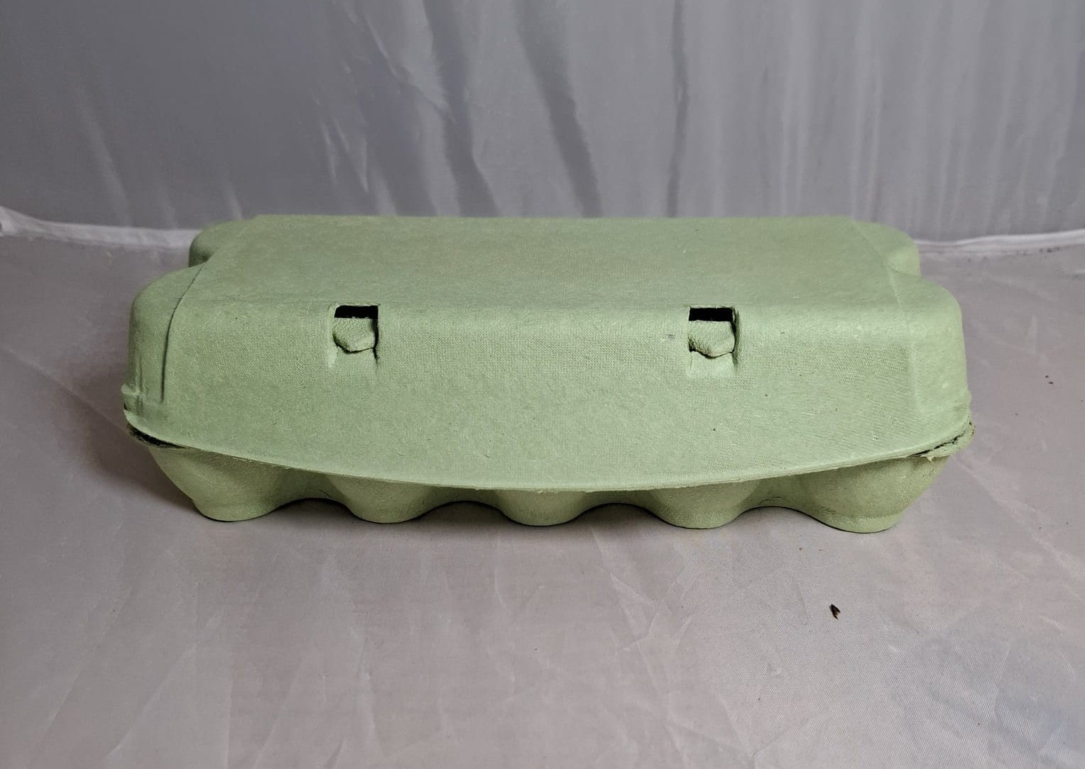 ComPac Boîtes à œufs pour 10 œufs 376 pièces vertes