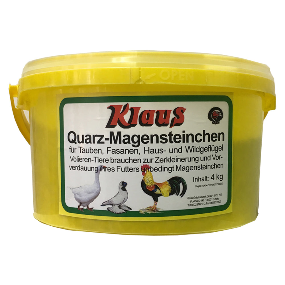 Magensteinchen (Quarz)