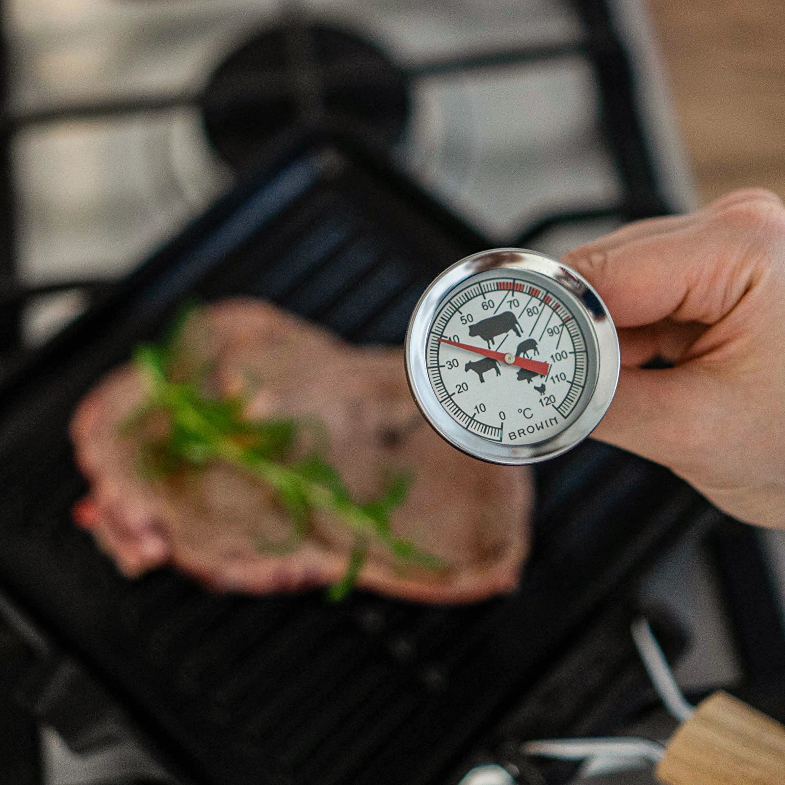 Smoker Thermometer