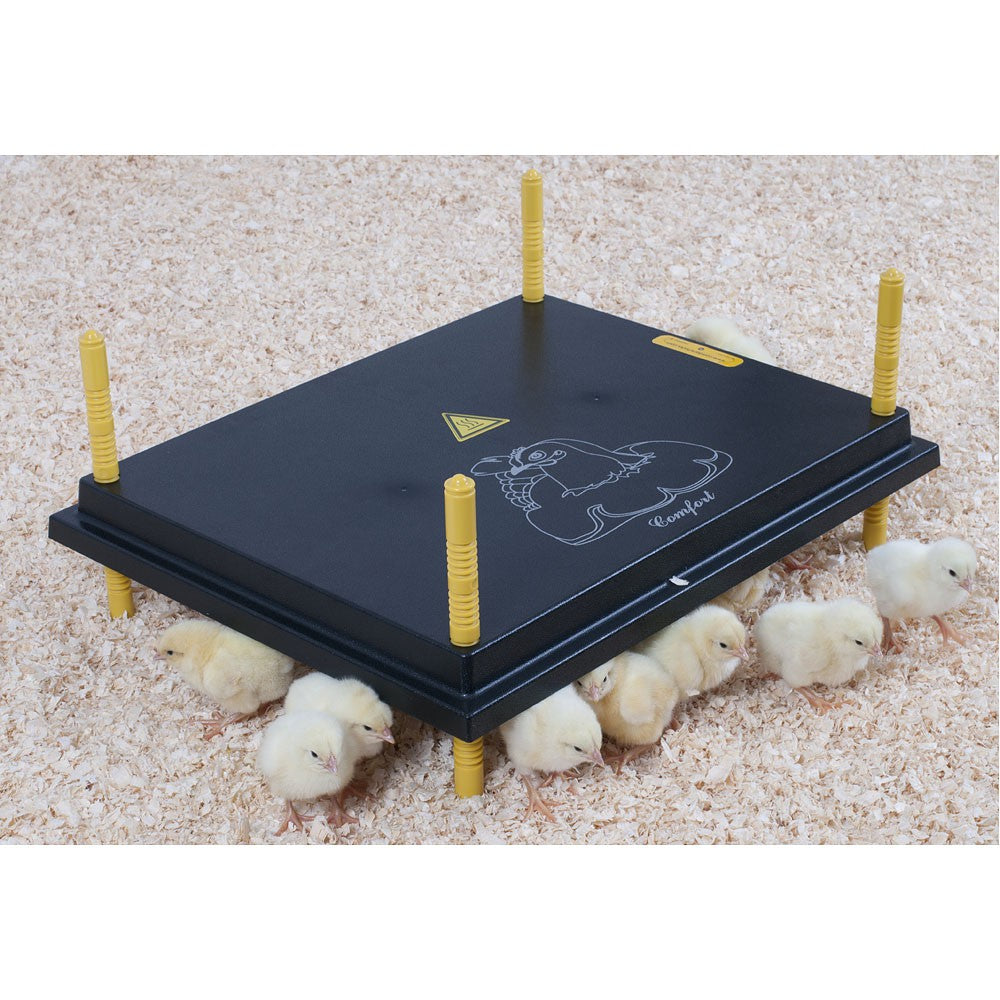 Plaque chauffante confort pour poussins