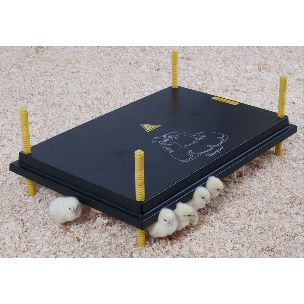 Plaque chauffante confort pour poussins