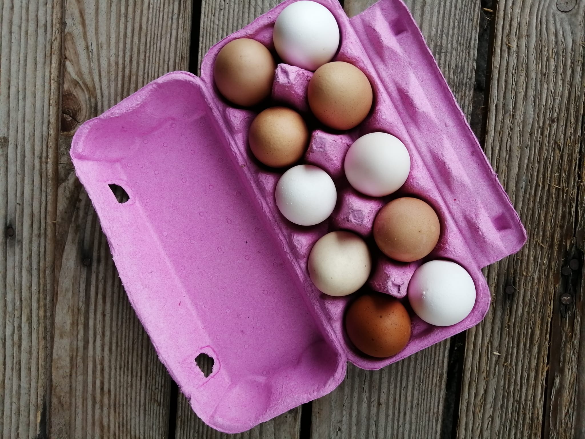 10er Eierschachteln Hühnereier Kleinpackung
